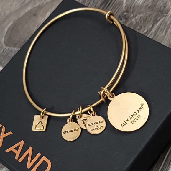 Alex and Ani Completely Blessed Charm Bracelet Positive Faith Gratitude - Picture 9 of 10